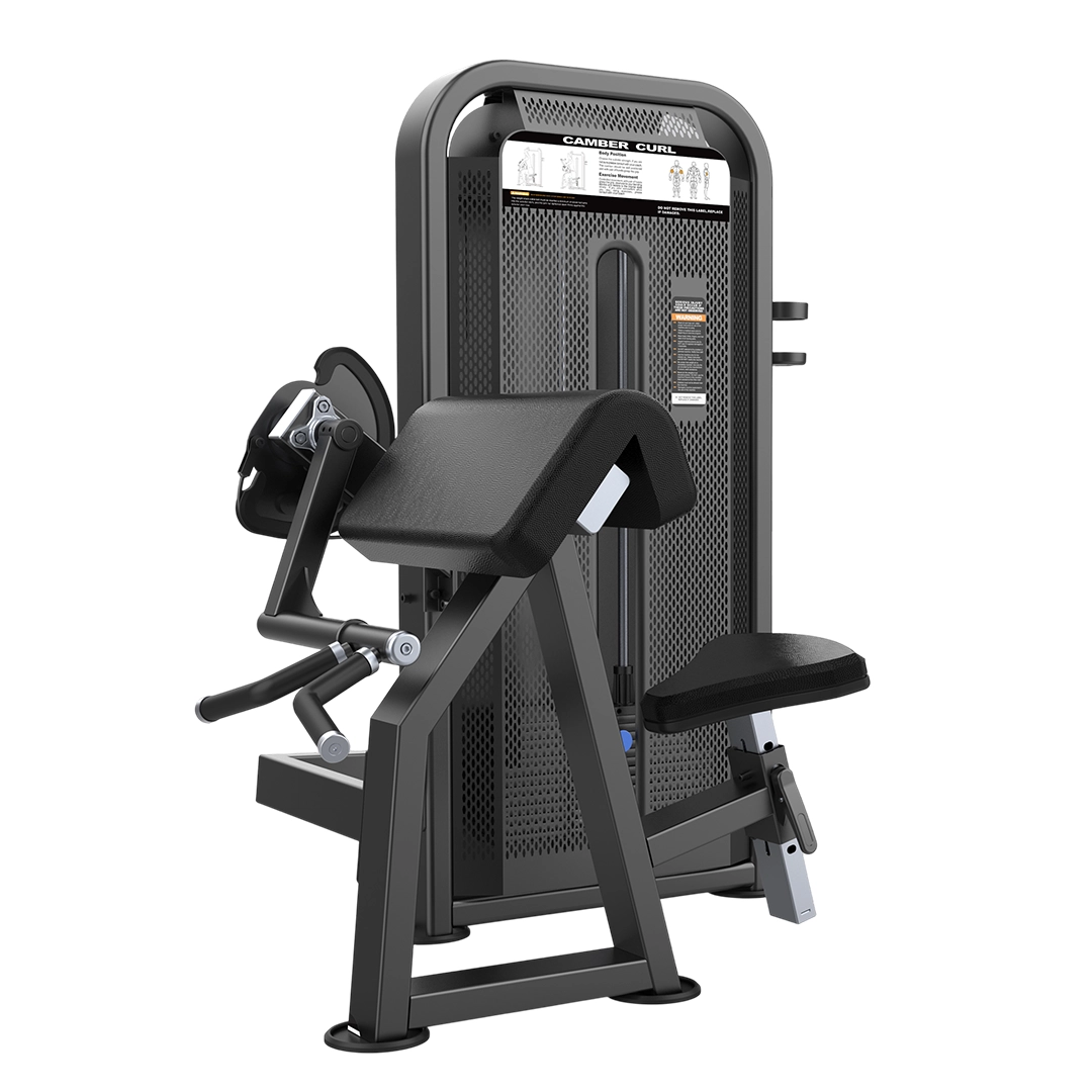 Biceps Curl