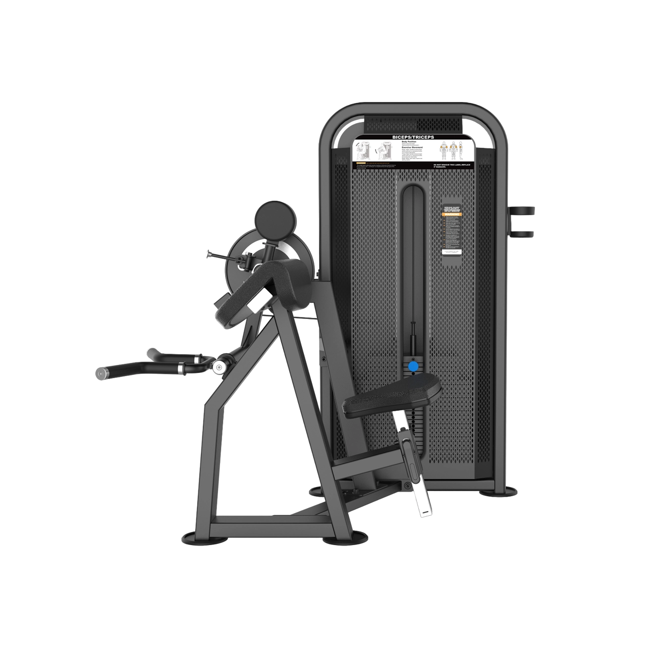 Biceps & Triceps Combo